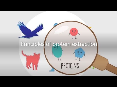 Principles of Protein Extraction
