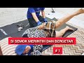 SI SEMOK MERINTIH DAN BERGETAR