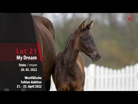Fohlen-Auktion Lot 21 My Dream Stute v. Majestic Taonga - Fidermark