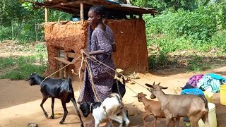 African Village Life//Daily Life of a Village Girl in Africa