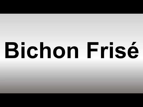 How to Pronounce Bichon Frisé