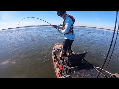 Finding a Massive School of Striper (“One more Cast”)
