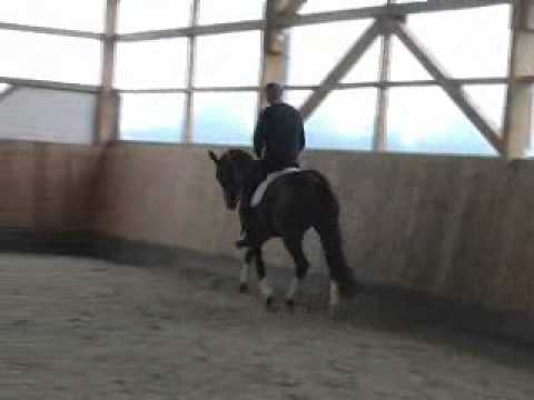 Scolari WEltmeyer09 ohne Musik