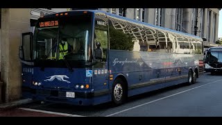 Greyhound Buses @ Newark Penn Station | Another Transit Video COACH BUSES
