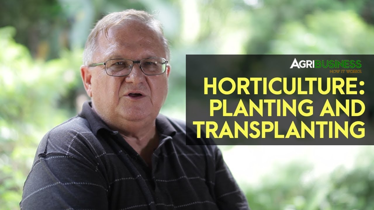 Planting and Transplanting: How and When to Plant and to Transplant for Gardening and Agriculture