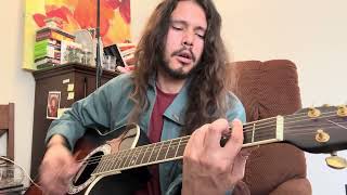 The Doors- Hyacinth House (1971) Acoustic Guitar and Vocal cover 
