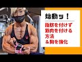 脂肪を付けず筋肉を付ける方法&胸の強化!