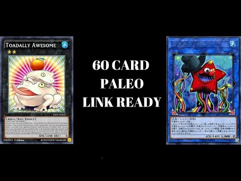 60 Card Paleozoic Frog Deck Replays & Decklist ! Traditional & Link Format