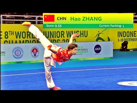 Hao Zhang 🇨🇳 9.55 score🥇 Changquan (A group) 8th World Junior Wushu Championship at Indonesia