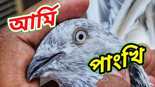 মিরপুর  ১ কবুতর হাটে কিছু ভালো জাতের কবুতর নিয়ে আলোচনা  | Miraj Pigeon & Pets