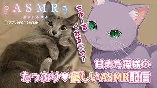 【実写ASMR】猫様乱入🐾💗ちゅーるくれくれッ💕猫好きがたまらないASMR配信【#猫  #asmr #太もも  #始解ゆゑ】