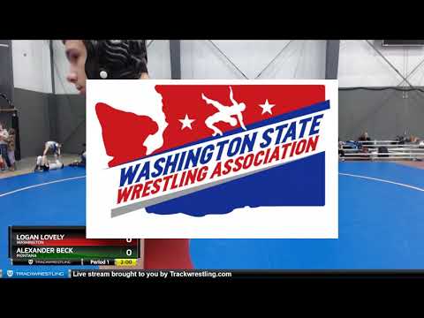 14U Festival 136 Luis Mendoza Washington Vs Benjamin Larson Oregon