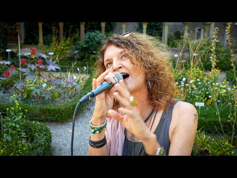 In meinem Garten - von Reinhard Mey - live vom sonix-trio  interpretiert