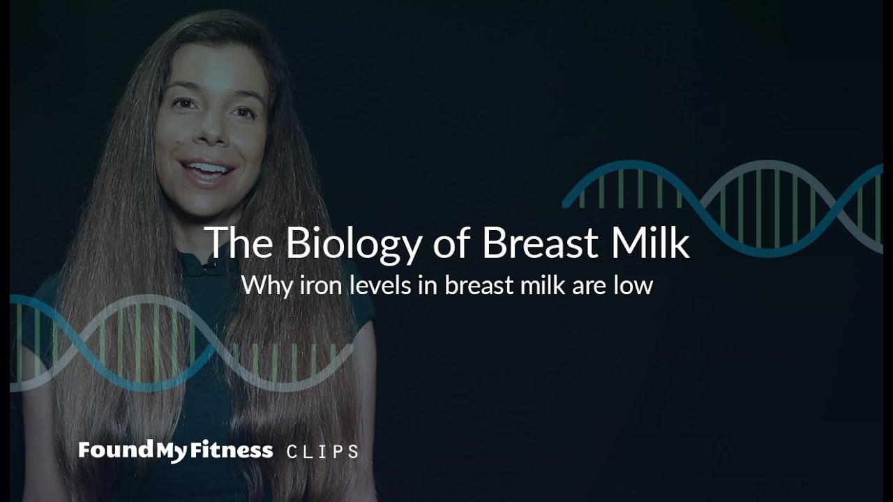 Iron levels in breast milk are low (what this means for breast feeding longer than 6 months) | Biology of Breast Milk
