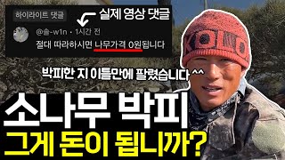 소나무 박피하면 단가 2배, 근데 진짜 그럴까? ㅣ 수석님 현실 조언