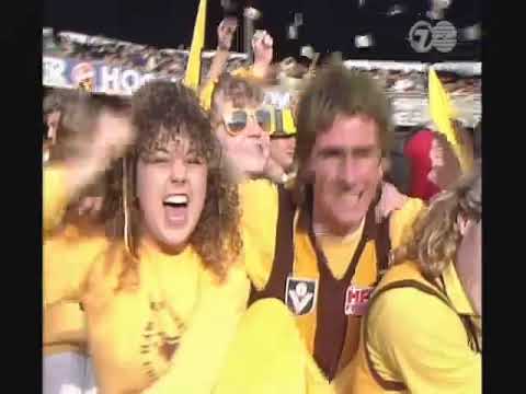 Footage of Hawthorn winning the 1988 VFL grand final