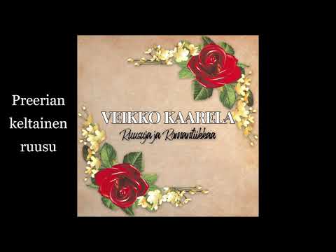 Veikko Kaarela   Preerian keltainen ruusu