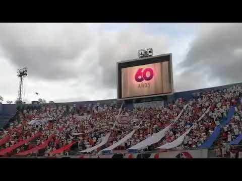 "LA MEJOR HINCHADA. " Barra: La Ultra Fiel • Club: Club Deportivo Olimpia