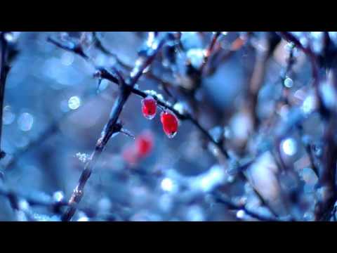 OST Family's Honor - Waiting for Love - Noh Young Chae (사랑 바라기 - 노영채)