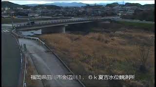 動画のサムネイル