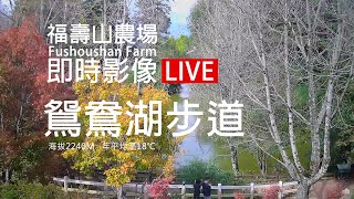 福壽山農場 鴛鴦湖步道