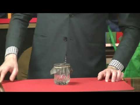 SS$ June 2017 - Penna-Coin