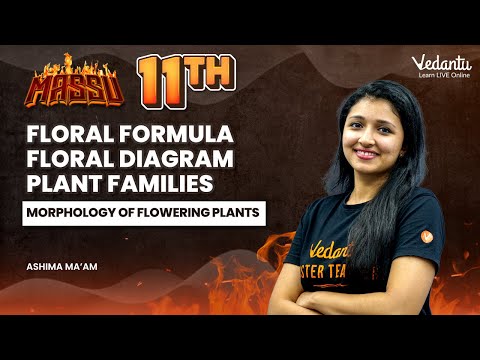 Morphology of flowering plants | Floral Formula | Floral Diagram | Plant Families | Ashima Ma'am