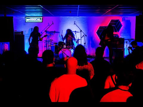 Nemophilis Live