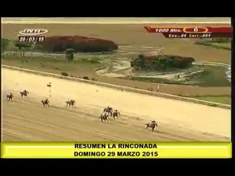 RESUMEN LA RINCONADA DOMINGO 29 MARZO 2015