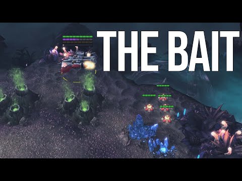 Does Has Take the Bait? | Has (P) vs Expect (T)