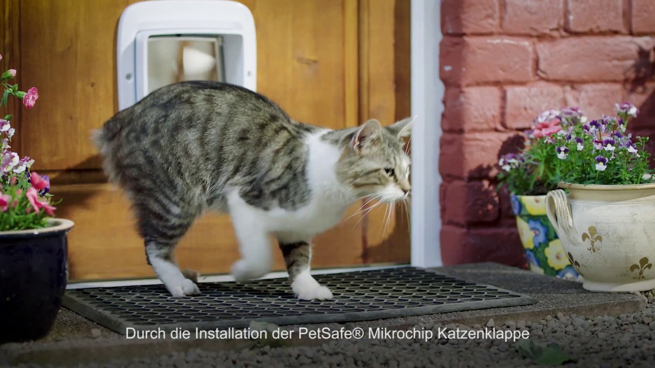 PetSafe Freilauftür Mikrochip