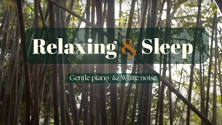 🕊️ Healing Soul Music for Relaxation & Sleep | Bamboo Forest Serenity