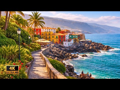 PUERTO DE LA CRUZ, Tenerife 🇮🇨 Winter Walk Through Punta Brava | 4K Tour