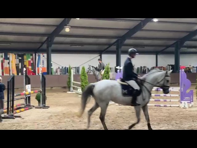 Practice rounds (around 5 times 0,80 metres) Carrie (Carrera x Waikiki, CSI 1.60m) as youngster.