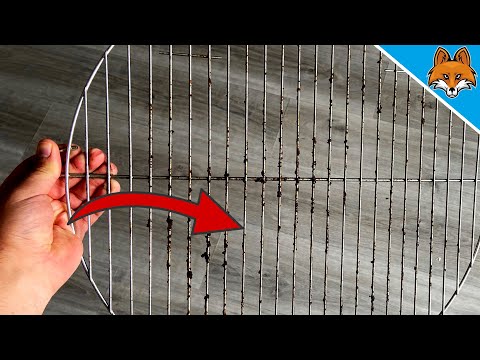 With THIS TRICK you can clean your grill grate effortlessly 💥