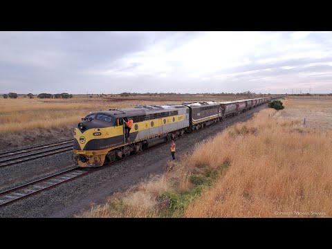 9196 Broad Gauge SSR Grain Train With S317 & S312 (15/2/2023) - PoathTV Australian Railways