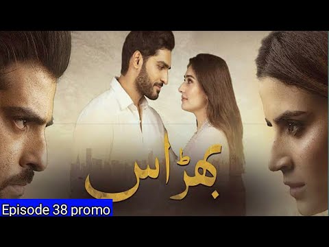 Bharaas Episode 38 - Teaser - ARY Digital Drama
