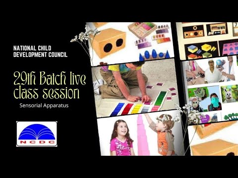 BATCH 29 TH LIVE CLASS MONTESSORI TEACHER TRAINING COURSE NCDC | DIPLOMA EDUCATION ONLINE CLASS 2022