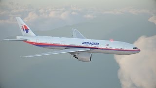 MH17 Crash - Korte film