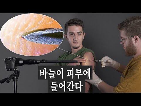 일상적인 사물 클로즈업해서 촬영하기 (1000배 줌 테스트)