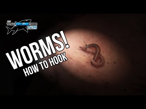 Awesome Fishing Baits - Earthworms | TAFishing