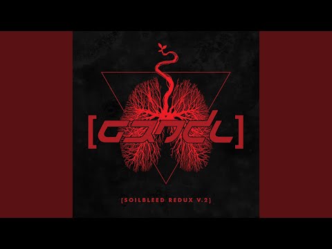 Soilbleed (Skoyz Remix)