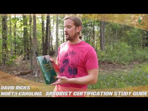 YouTube Thumbnail an2cWY0wt38