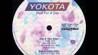Yokota - Wait For A Day (Yokota Remix)