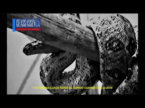 Geassassin - Snakes (ft. Primero Company) (Visualizer)