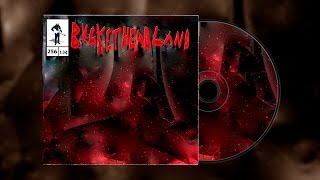 Buckethead - Pike 256 - Meteor Firefly Net