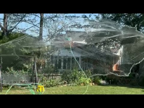 How to throw a cast net from shore without using elbows, shoulders, mouth, and spinning!