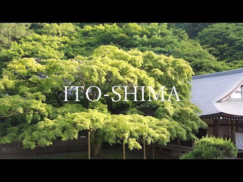 雷山千如寺 新緑　～糸島10秒動画～