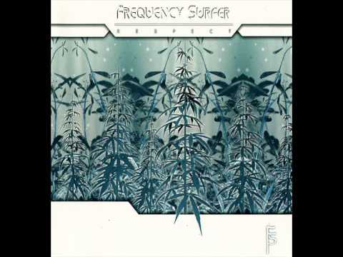 Frequency Surfer - Moonswing