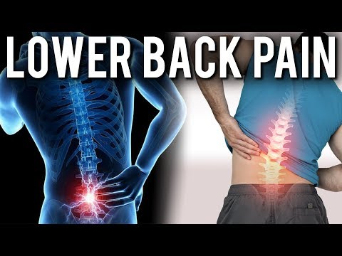 Why Do Our Backs Hurt? | Dr Stuart McGill